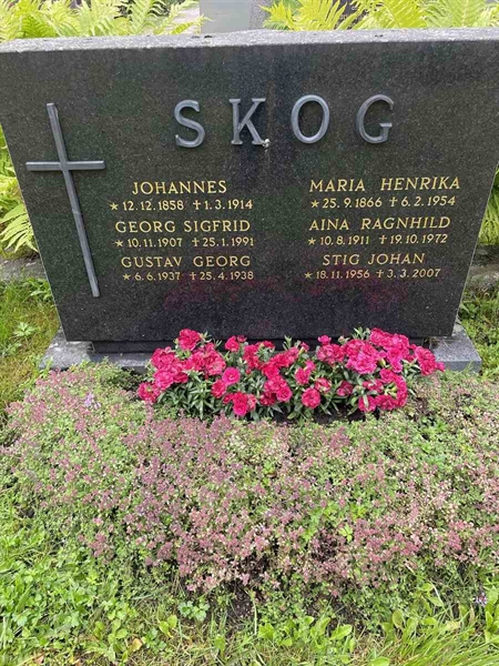 Hautatunnus: N 4 4   618