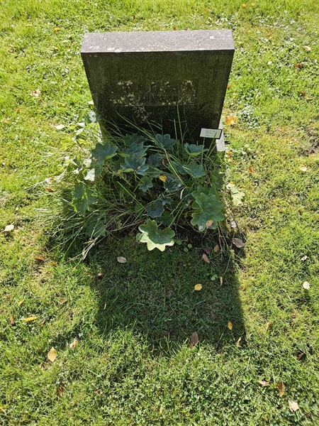 Grave number: Fr 7   125