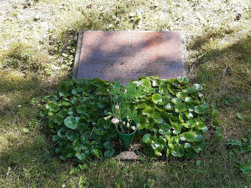 Grave number: VI 05   939