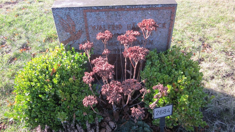Grave number: KG G  2684, 2685