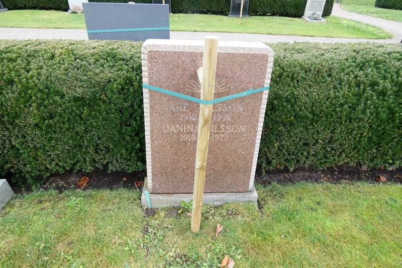 Grave number: TR 3   115B