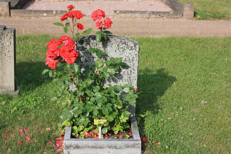 Grave number: Ö 03i   115