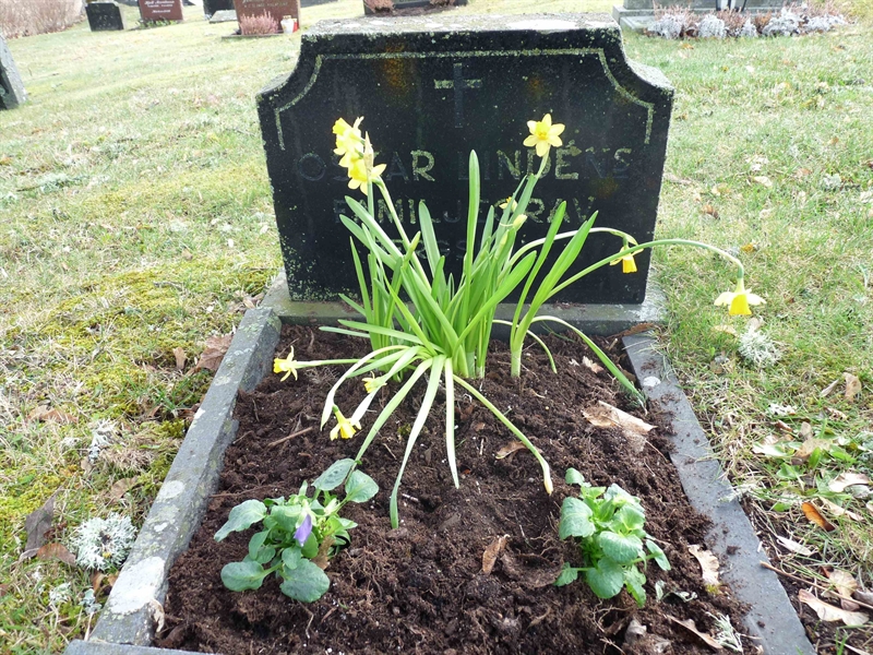 Grave number: JÄ 1   64
