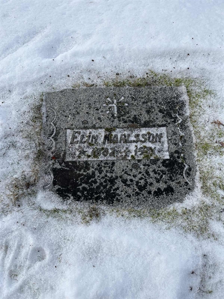 Gravnummer: SJ D    99