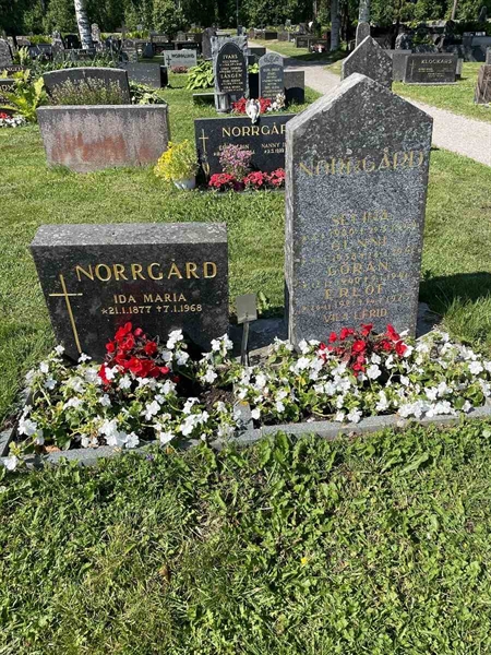 Hautatunnus: N 5 2   157