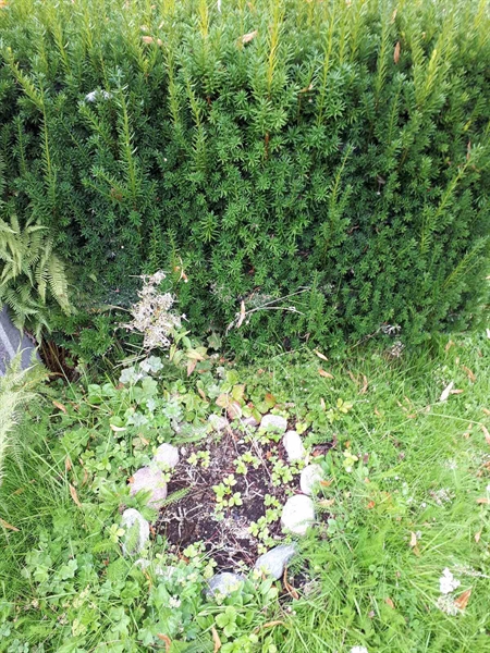 Gravnummer: GK U 4    54