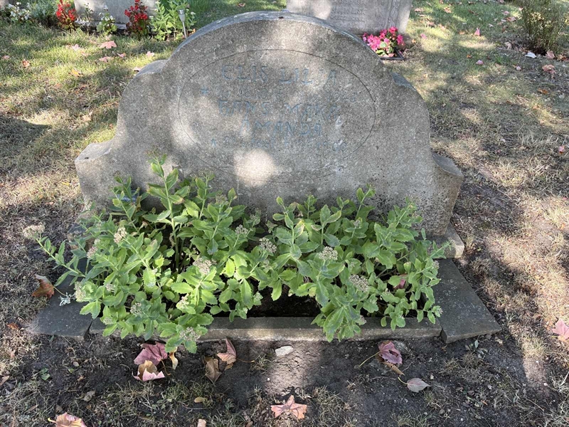 Grave number: Ö 07    13.