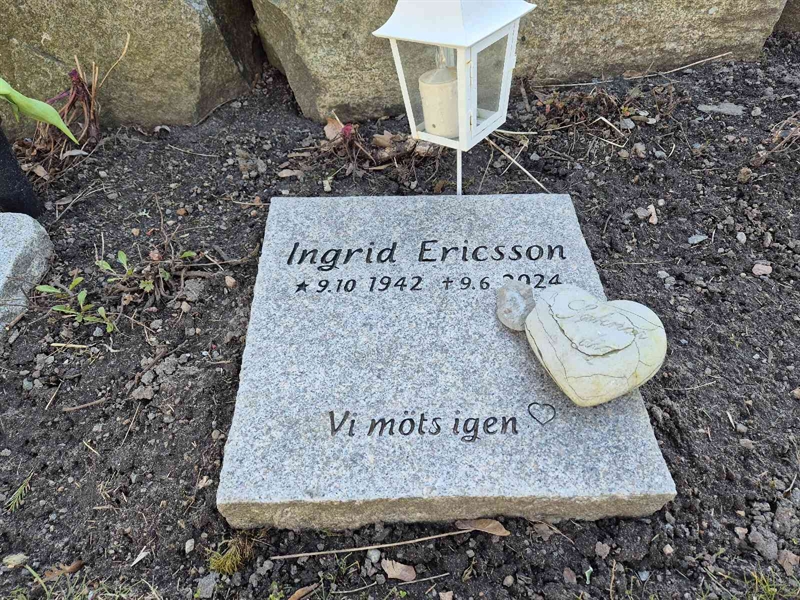 Gravnummer: 3 10    3