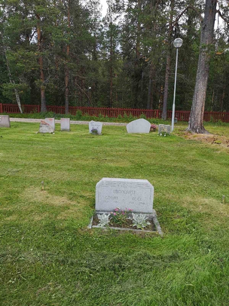 Gravnummer: PK   142