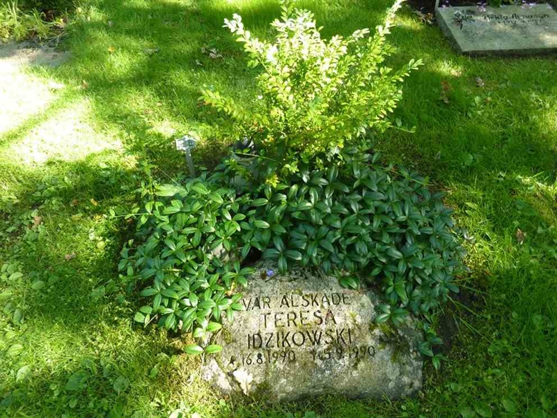Grave number: 1 R   24