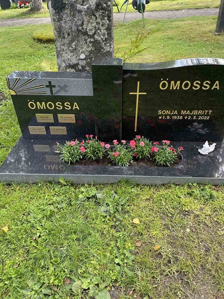 Gravnummer: N 4 3   339b