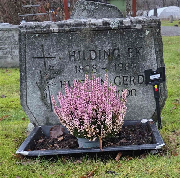 Hautatunnus: 1 BU     9