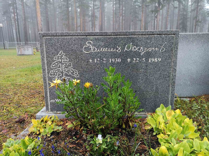 Hautatunnus: VLM 14    47-48