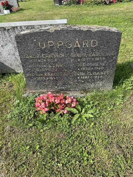 Grave number: N 4 1    36