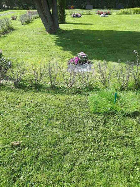 Hautatunnus: NK F G    93