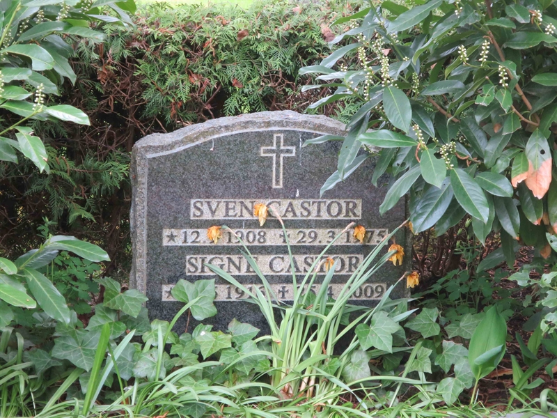 Grave number: HÖB 70F   145