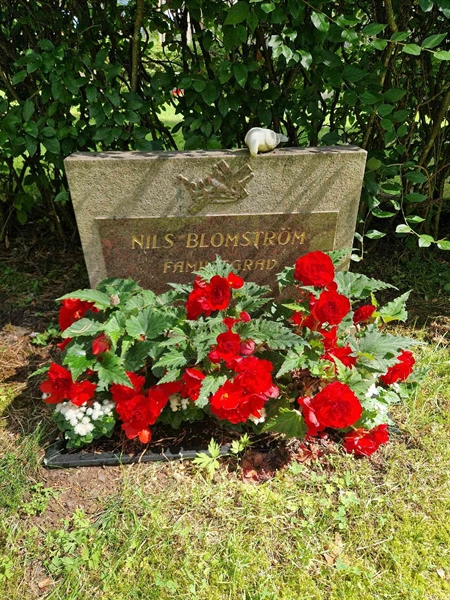 Grave number: 1 KV.4   219-220