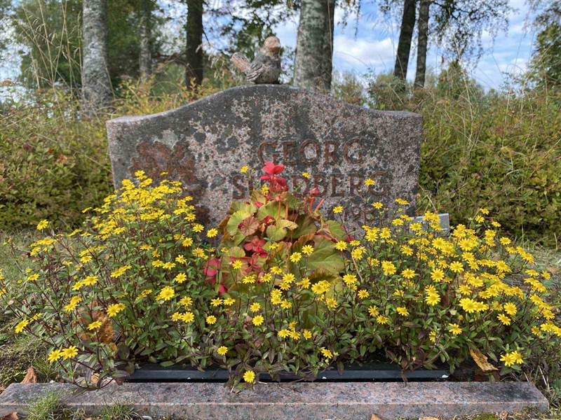 Grave number: 1 19    262