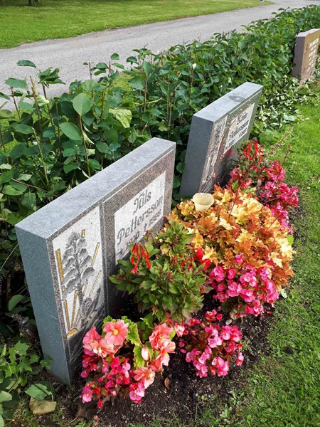 Hautatunnus: NK F C    77-79