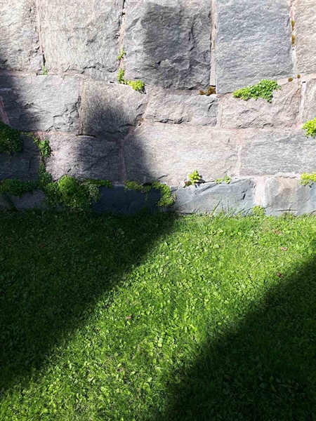 Grave number: NK F G    20