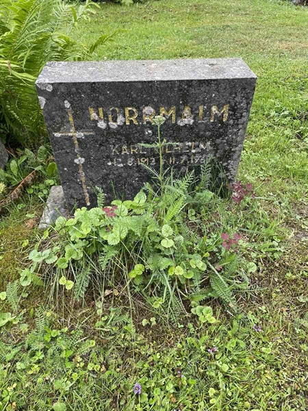 Gravnummer: N 4 4   560a