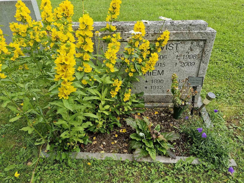 Grave number: GR PA  0139-0142