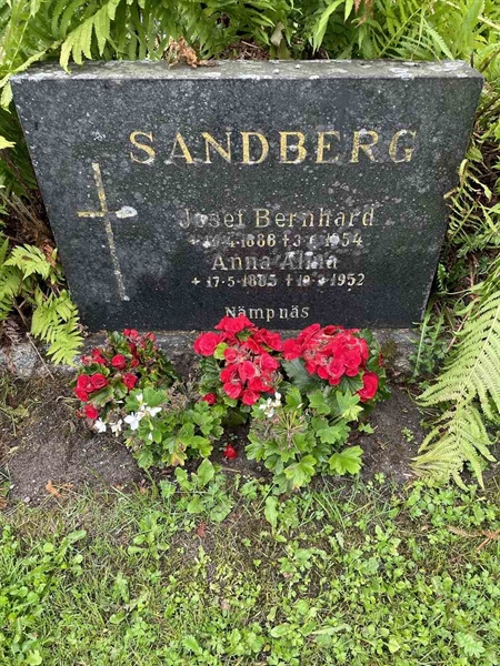 Gravnummer: N 4 4   520