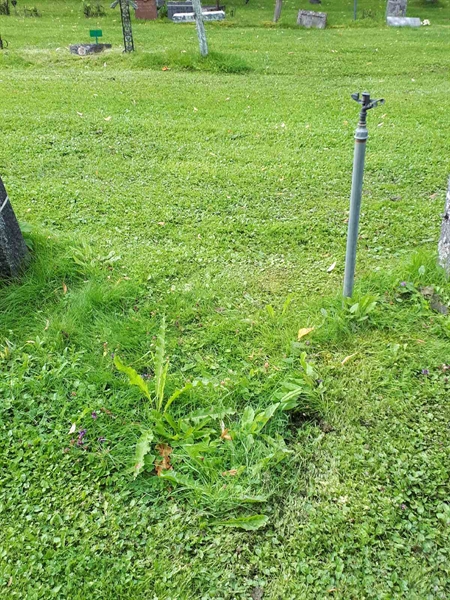 Gravnummer: GK A 4   300V