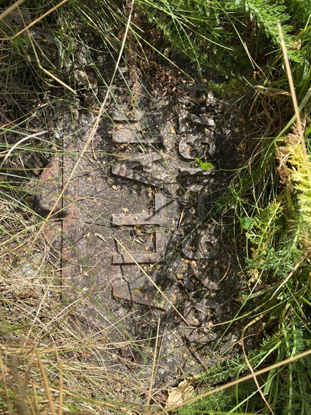 Grave number: 1 17 49, 50