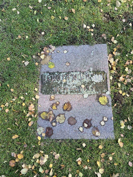 Grave number: VV 5   271