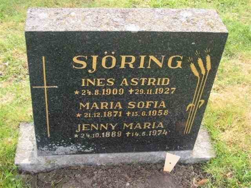 Hautatunnus: 1 GC 06     55