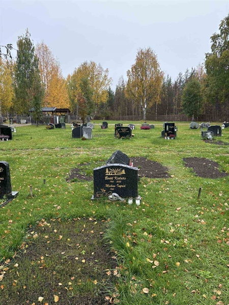 Hautatunnus: NK 21    82-83