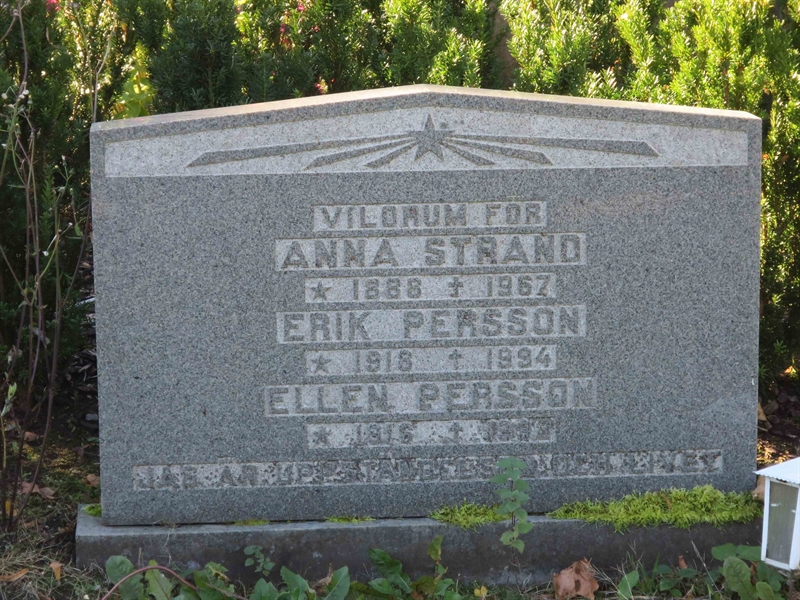 Grave number: HÖB 54    33