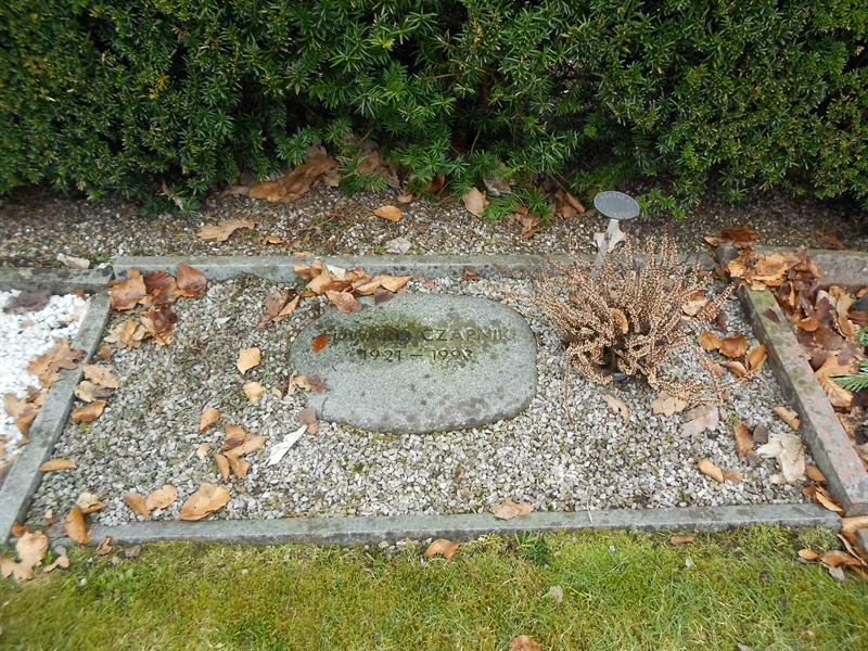 Grave number: NÅ N3   137