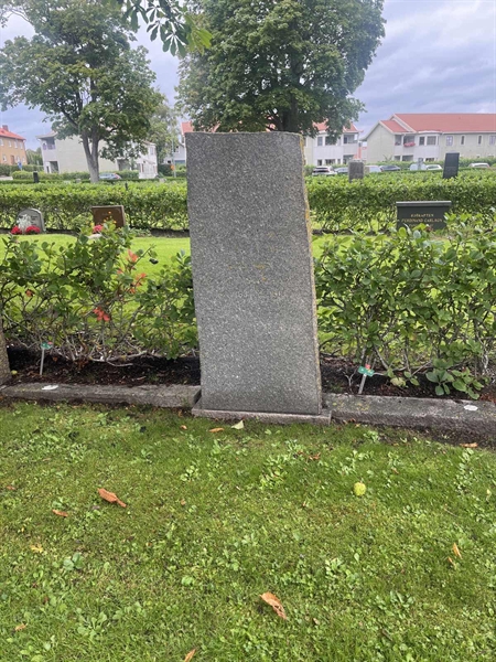 Grave number: 1 2 D   258