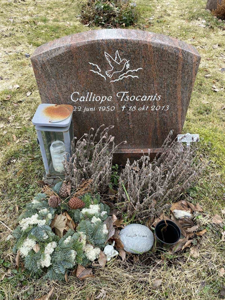 Hautatunnus: 1 NA   237