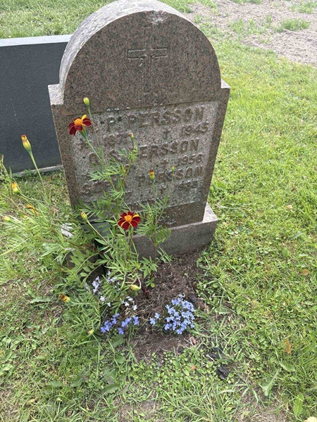 Grave number: 003 D    31