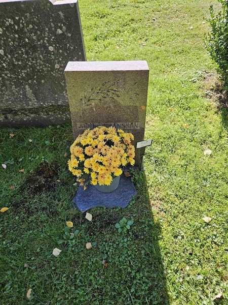 Grave number: Fr 7   194