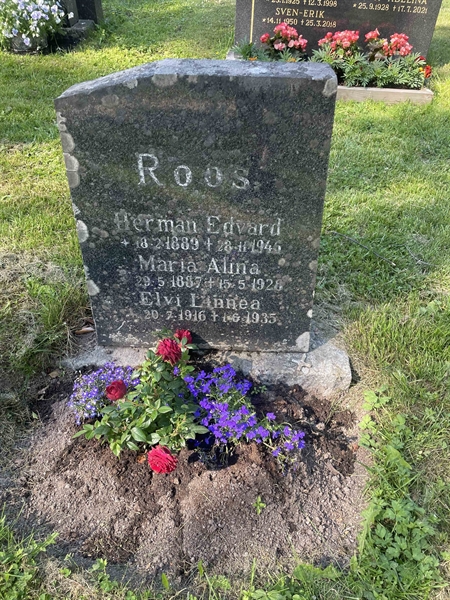 Grave number: N 5 3 327