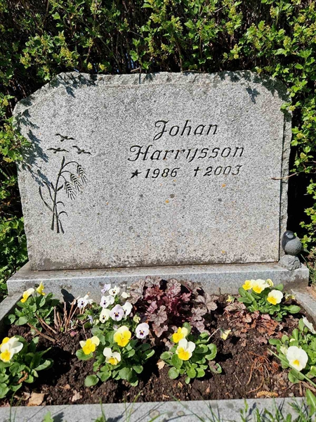 Grave number: 501 17 3225-3227