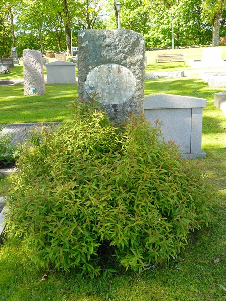 Grave number: Lå G C   511