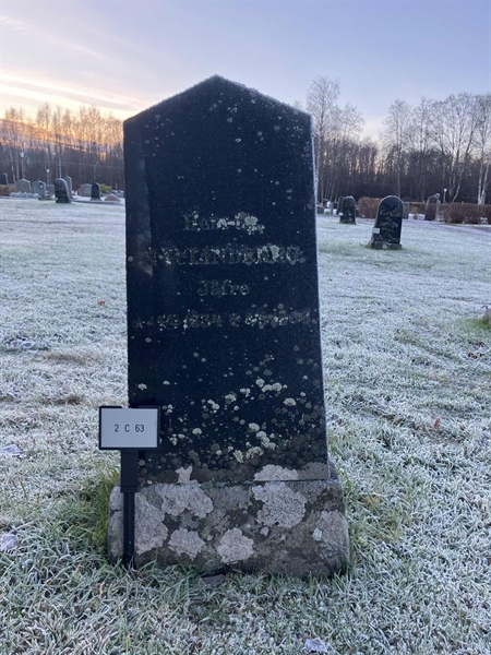 Hautatunnus: 2 C    63