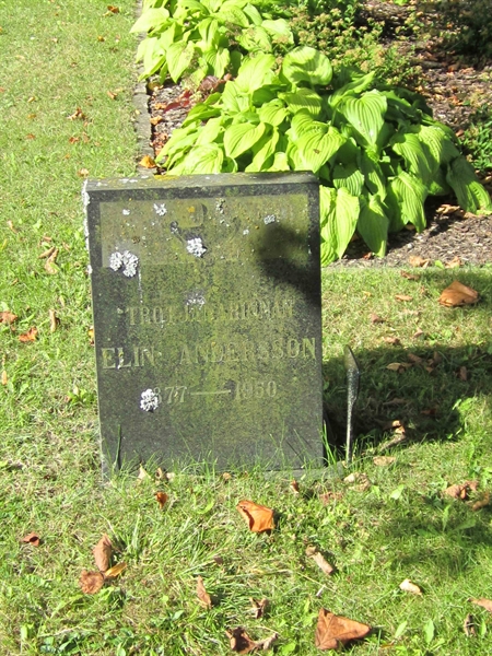 Grave number: 1 9    41