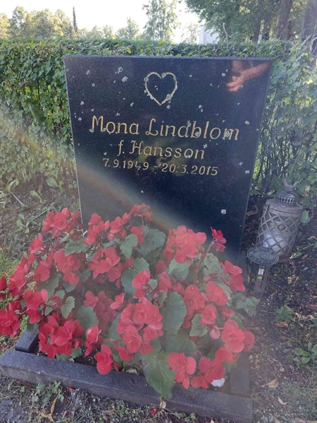 Gravnummer: 1 D   038