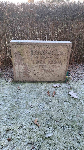 Gravnummer: 6 05    258, 259