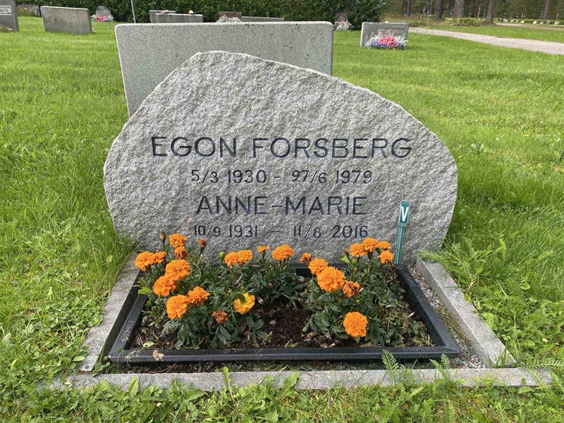 Grave number: 3 13    40