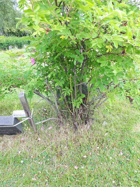 Grave number: GK A 5   276M