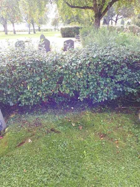 Hautatunnus: NK F D    45