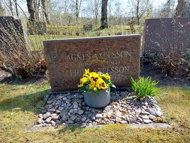Grave number: HÖ 4  117, 118