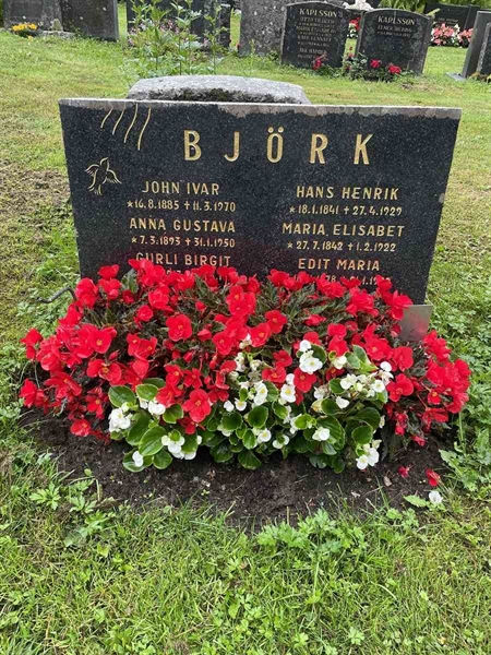 Gravnummer: N 4 4   658